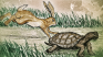 The Race: Solana vs LiteCoin Update