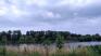 A mixed day, rain in the morning, then a bit of sun... - My Actifit Report Card: May 30, 2026