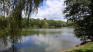 Friday walk around the "Hutnik" pond in the Silesian Park - My Actifit Report Card: August 1 2025
