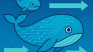 The Whales Are Moving