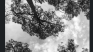 Raw, Random & Real: Black & White Glimpses of My World