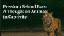 Sanctuaries vs Zoos – What’s Better for the Animals?