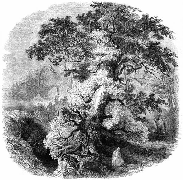 9e0c6a1725da3faf4e124d156119567012350e3630459550665cc2cfdcc4dd4f.jpeg