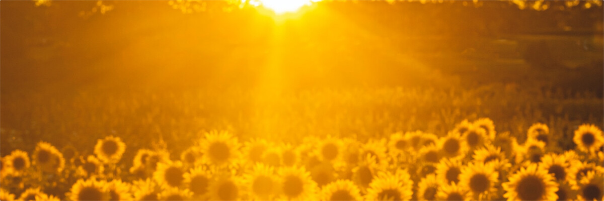9abd36adf65faf3f9d14a527cddeac54a9c3c8f22bf71b2f32ddc2685359f0c2.jpg