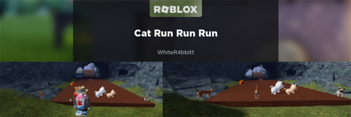 Custom roblox game cat run run run
