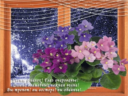 1a5a35a40ad20904321dc01addad92c0abe4eff65e7eb5750014b30781e97432.jpg