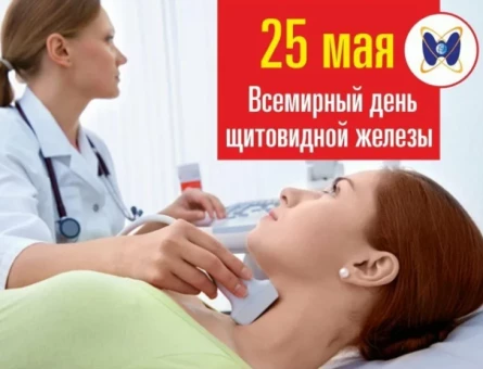 e0d3776cc6c4ea10bb38a1baa091a661ac8c0e25ac41f4aa0e06ed82e0f77fc4.png