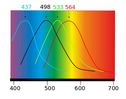 a11bee5f0cee89209fbf2f6551cdd3a5a4b123973ba558aa548563debb32b639.png