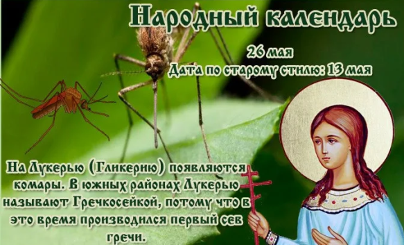 c8599e90847a9d4696bf50eeccae3325b8ebcc1e00d44b28e4a71506008f4ee3.png