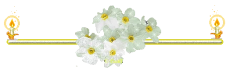 146c4066a14a2872ccac7babb5789443d0f5e9cf543bcb5c921fbe266cc36963.gif