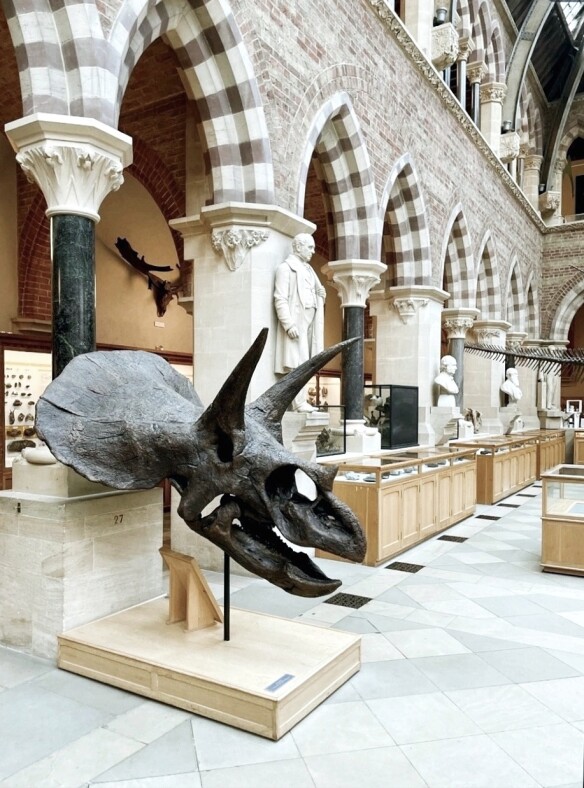 Oxford University Museum of Natural History
