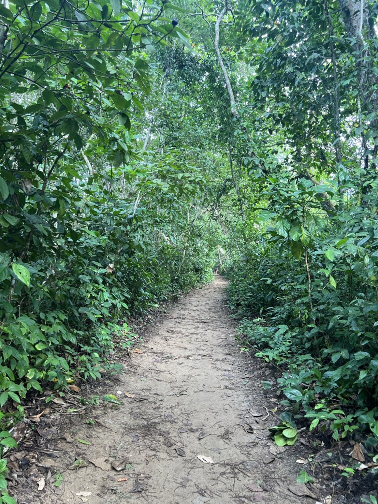 Cahuita National Park. Costa Rica, province of Limon.