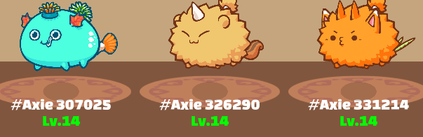 our axie team at level 14.png
