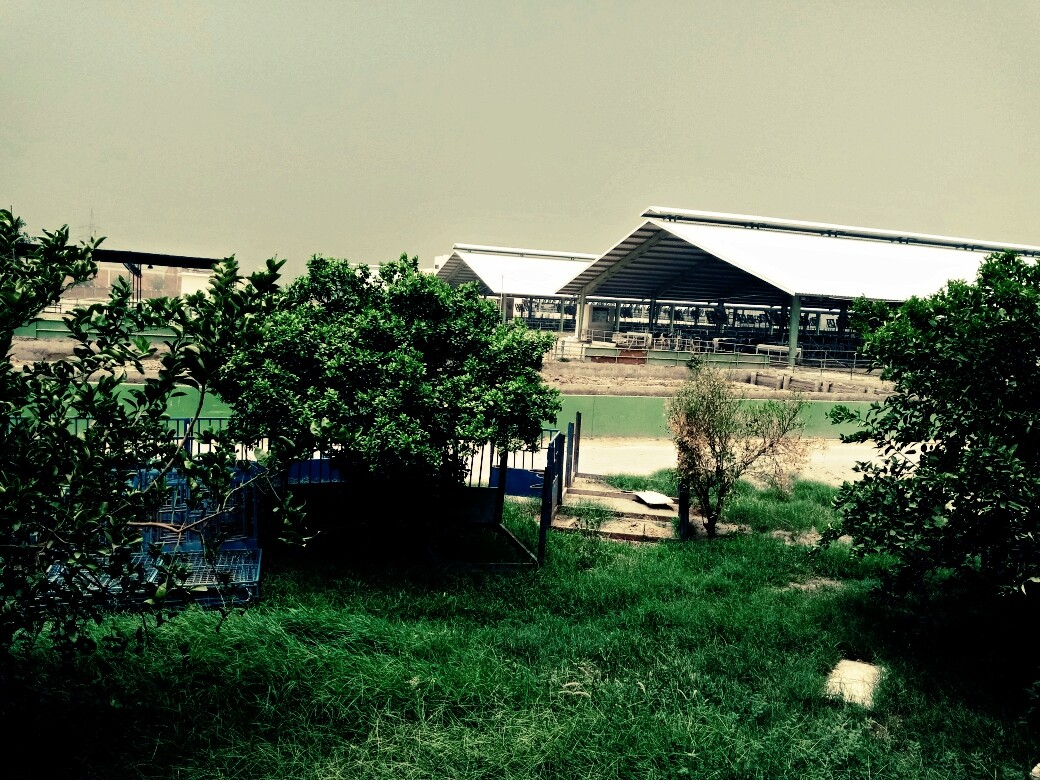 Cloudy Weather