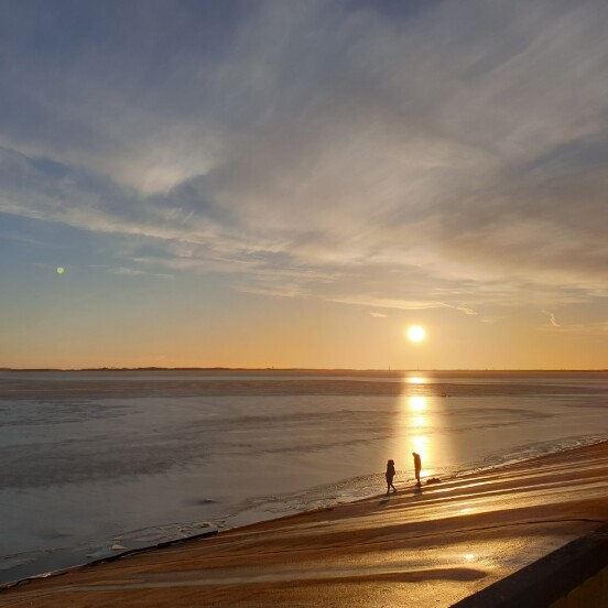 Community of fans of shooting on a smartphone. THIRTY-FIFTH selection