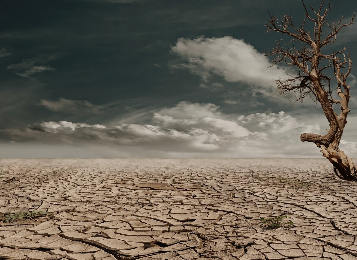 Climate impact