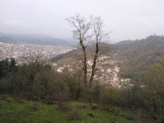 Morning Hike among Lady Friends, Photography of Nature