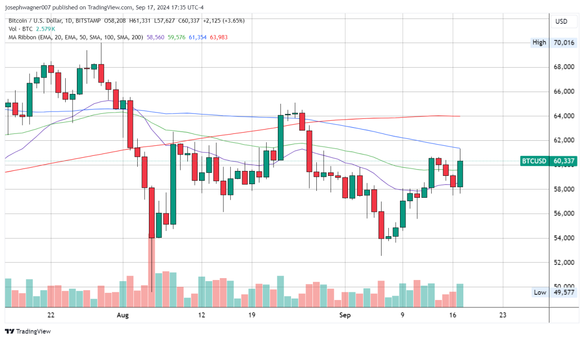 daily btc