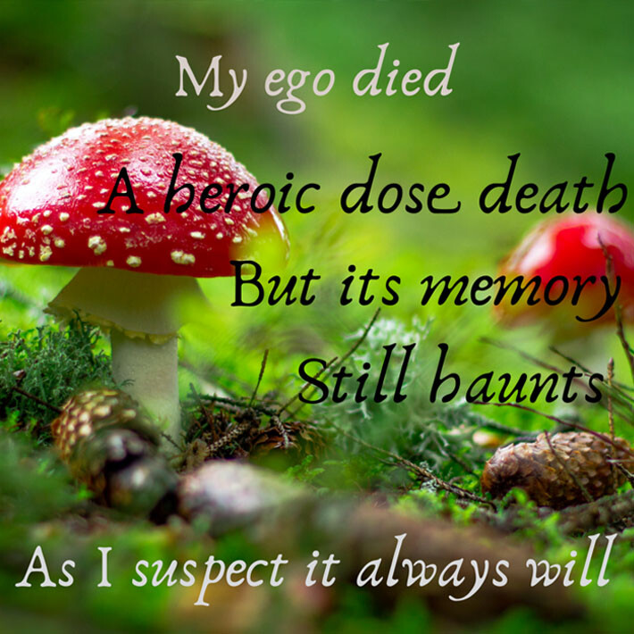Poem by the Author, Photo Courtesy of Unsplash