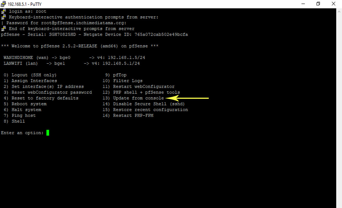 Update PFSense with GUI and Command Line