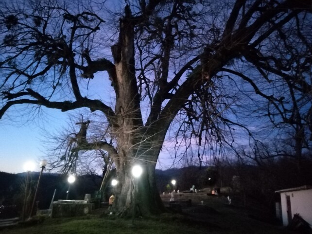Have a Morning Stroll | a New Route &amp; an Unusual Tomb ahead