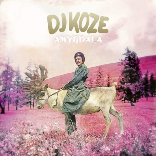 Dj Koze - Amygdala, album art.