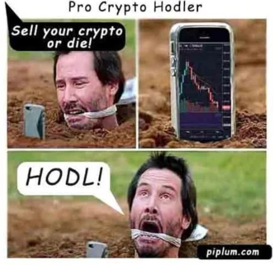 HODL!