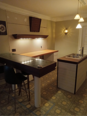 Custom Mahogany Mini Airbnb Kitchen