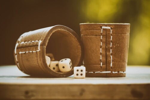 two leather cups with dice in them