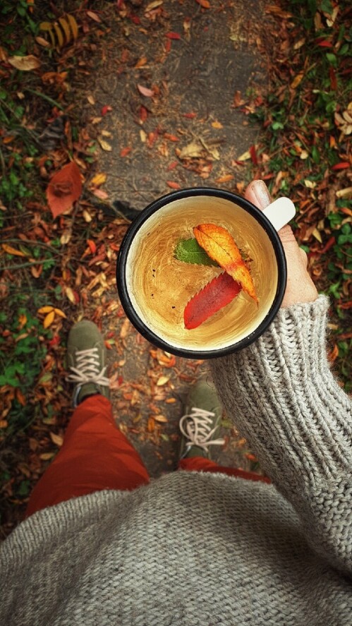 The comfort of autumn