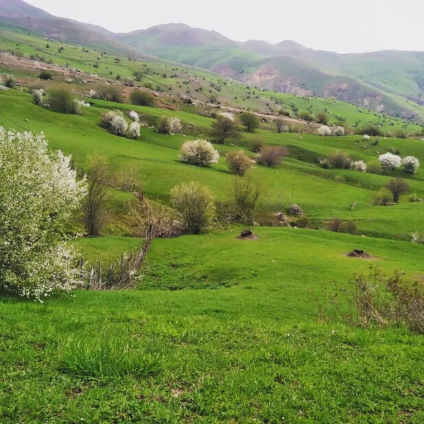 The Lush Mountains in The Outset of Spring | Iran