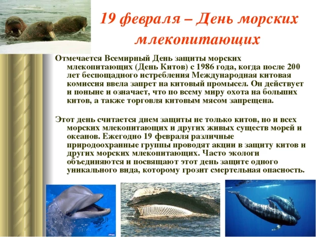 ec222aedfbaaeebc609982cb58f5a8282d316f4fda2d289c0efe3eec60c4a686.jpg