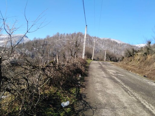 Blossoms! | Another Passionate Morning Bike Ride in The Mountains 