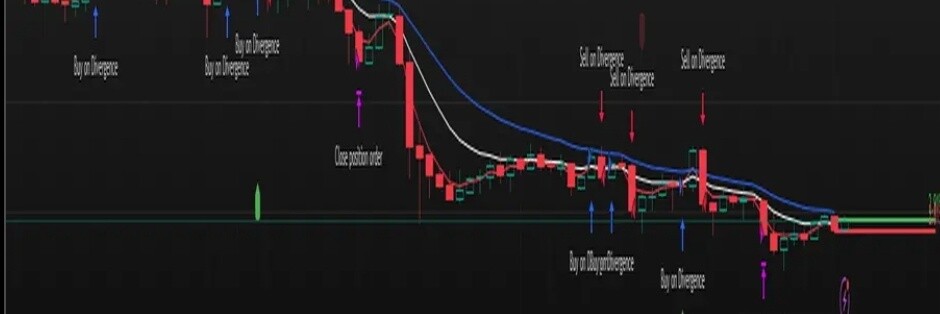 CryptoShakes Strategy