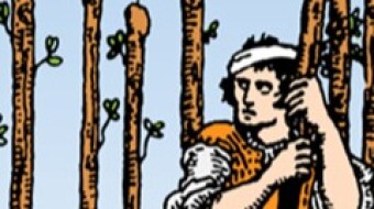 Time for introspection, meditation. Trying not to fight. The 9 of Wands - 30/11/23