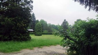 Classic Rainy Monday - My Actifit Report Card: June 16 2025