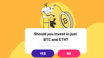 Should you invest in just Bitcoin and Ethereum?