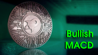 Last 5 times we got this signal, XLM pumped