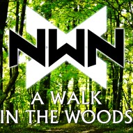 A Walk In The Woods