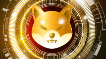 SHIBA INU SHIB Will Moon - When This Stops!