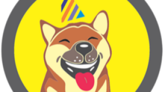 "The Rise of Doge NFTs: Exploring the Fun and Creative World of the Doge Party"
