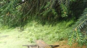 Story Of Cycling & Nature Hiking: Enigmatic Path to Pristine Waterfalls (2)