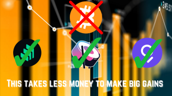 Why You Should Invest In Low MarketCap Coins