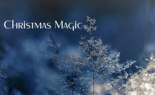 Christmas Magic