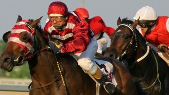 Follow The Tipster - #3