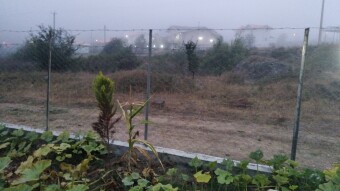A Journey in The Fog, Magical, Mysterious, Dangerous