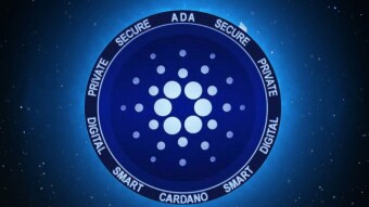 A technical look at Cardano project...
