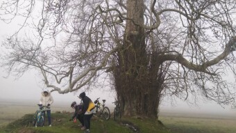 I Visited an Ancient Friend, Cycling in Fog Once Again