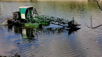 Morning at the Reserve Video - What is there to see?