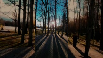 I walked through the forest. Forest go